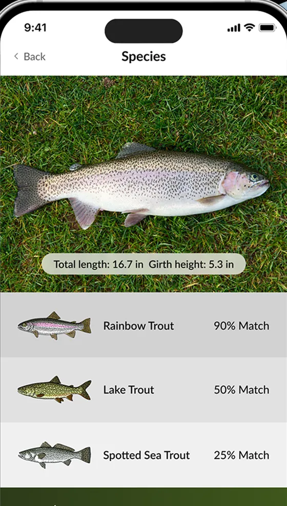 Automatic species detection ranking rainbow trout at 90 percent match